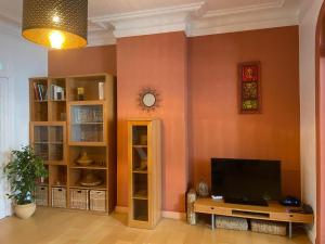 a living room with a flat screen tv on a wall at Appartement de charme dans maison de maître bruxelloise in Brussels