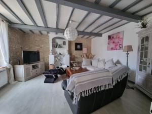 a bedroom with a large bed and a tv at Les Gîtes Mina in Mosnes