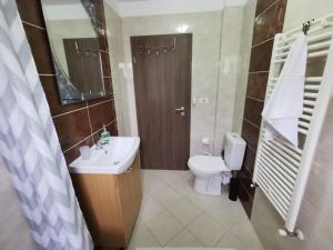 a bathroom with a sink and a toilet at Apartament Ovidiu in Giroc