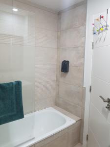 a bathroom with a shower with a tub and a sink at Apartamento Plaza del Teatro Parking free in Málaga