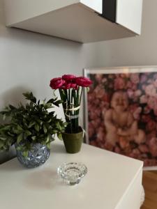 Fotografia z galérie ubytovania Apartman Tunja vo Viry
