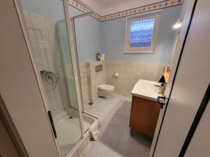 a bathroom with a shower and a toilet and a sink at Apartman Roman Mandre in Mandre