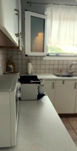 A kitchen or kitchenette at Villa Panorama