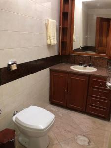 a bathroom with a toilet and a sink at Casa Portanova Luxe - A 1,5km da Rua Coberta in Gramado