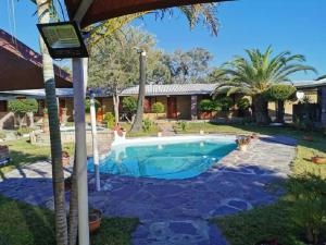 basen w ogrodzie obok domu w obiekcie Palmeiras Lodge Oshikango w mieście Oshikango