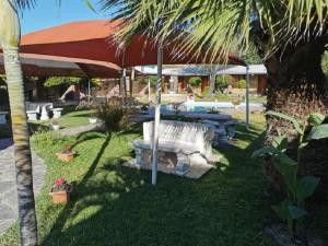 un patio con mesa de picnic y piscina en Palmeiras Lodge Oshikango en Oshikango