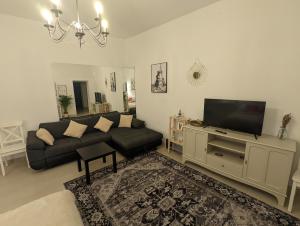 sala de estar con sofá y TV de pantalla plana en Schönes Apartment im Zentrum von Koblenz, en Coblenza