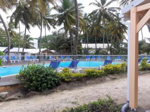 - une piscine avec des chaises bleues et des palmiers dans l'établissement Résidence Hôtelière Le Carayou, à Les Trois-Îlets