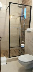 La salle de bains est pourvue de toilettes et d'une douche en verre. dans l'établissement Bobocel Villa, à Sfântu Gheorghe