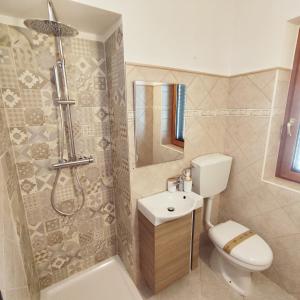 a bathroom with a shower and a toilet and a sink at Villa Di Gioia in Caccuri