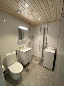 ロヴァニエミにあるホテル アーケヌス アパートメント コルカロのバスルーム(トイレ、洗面台、シャワー付)
