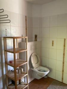 a small bathroom with a toilet in a room at Komfortable Ferienwohnung mit herrlicher Aussicht in Sautens