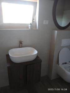 a bathroom with a white sink and a toilet at Apartments Ribić in Umag