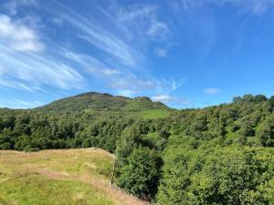 a view of a mountain with trees on a hill at Cathwill - Cosy 4 Star Cottage - Cairngorm National Park in Newtonmore