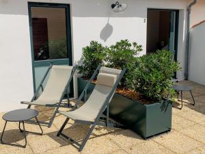un groupe de chaises et un planteur de plantes dans l'établissement Hôtel Les Mouettes, à La Couarde-sur-Mer
