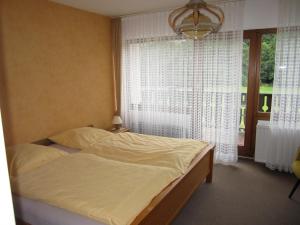 a bedroom with a bed and a window with a chandelier at Pension-Gästehaus Waldhof in Winterberg