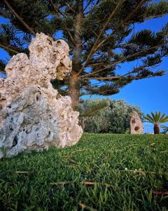 Gambar di galeri bagi Agriturismo Tenuta Pozzello di Torre dell'Orso