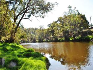 a body of water with trees in the background at Tweed Valley Lodge in Bridgetown