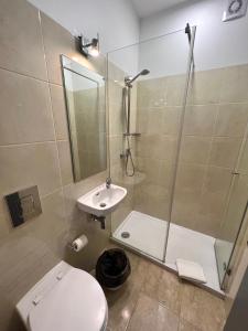 a bathroom with a shower and a toilet and a sink at Abrigo and Restaurant Portinho in Vila Praia de Âncora