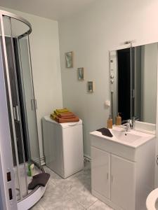 a bathroom with a shower and a sink and a mirror at Le Bailleux in Braine