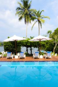 una piscina con sillas, sombrillas y palmeras en Waterside Bentota en Bentota