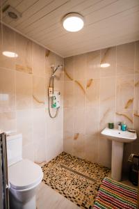 un bagno con un water e un lavandino di Holmestead Cottage a Tyrella Altre 5 foto