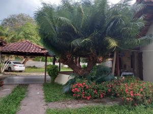 a palm tree and flowers in front of a house at CASA DE PRAIA CAJUEIRO ALTER in Alter do Chao