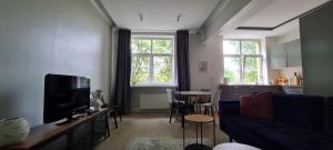 een woonkamer met een bank en een tv bij ReHouse Vokieciu str.9, 2 bedroom in Vilnius