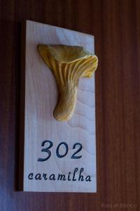 a sign with a fossil of a mushroom on a napkin at Hotel Saueth in Tredós