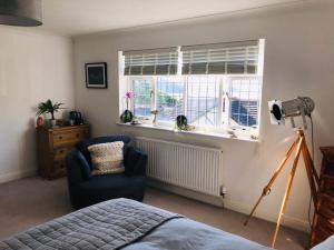 a bedroom with a blue chair and a window at Driftwood Lodge in Llansantffraid Glan Conwy