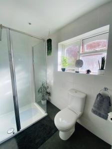 uma casa de banho branca com um WC e um chuveiro em Driftwood Lodge em Llansantffraid Glan Conwy