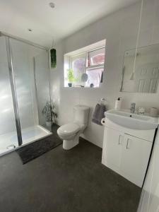 uma casa de banho com um WC, um lavatório e um chuveiro em Driftwood Lodge em Llansantffraid Glan Conwy