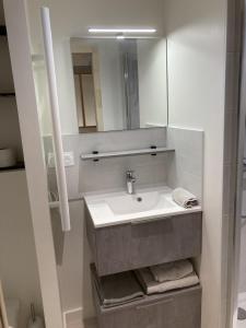La salle de bains est pourvue d'un lavabo et d'un miroir. dans l'établissement La Maison du Cocher - Chambre indépendante climatisée en Hypercentre - Lit Queen Size, à Angers