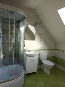 a bathroom with a shower and a toilet and a sink at Rodzinne Zacisze Bysina in Bysina