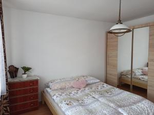 a bedroom with a bed and a dresser and a mirror at Rodzinne Zacisze Bysina in Bysina