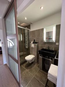a bathroom with a toilet and a sink and a mirror at Chambres d'hôtes & Spa Les Perce Neige in Vernou-sur-Brenne +64 photos