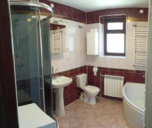a bathroom with a toilet and a sink and a shower at Rodzinne Zacisze Bysina in Bysina
