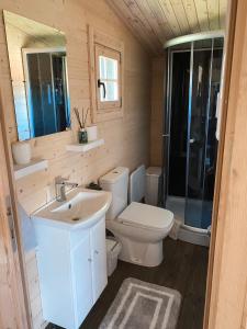 uma casa de banho com um WC, um lavatório e um chuveiro em Ciemiņos 