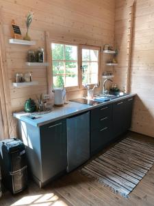 a kitchen with a sink and a counter top at Ciemiņos 