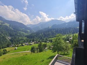 uma vista para uma colina verde com montanhas ao fundo em Appartement Melinda Ebnit em Dornbirn