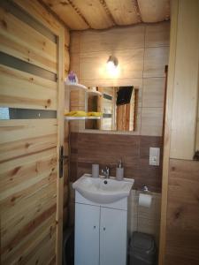 a bathroom with a sink and a wooden wall at Zielona Dolina Hoczew in Hoczew