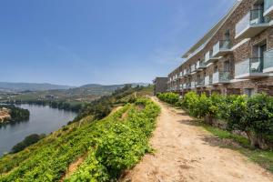 un bâtiment sur une colline à côté d'une rivière dans l'établissement Delfim Douro Hotel, à Lamego