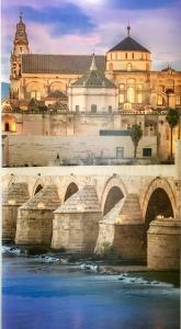 eine Brücke über einen Fluss vor einer Stadt in der Unterkunft Patio de la Plateria in Córdoba