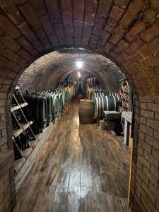 un túnel con barriles de vino en una bodega en Penzion - Vinařství Hanuš, en Blučina