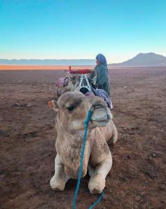 una persona montando un camello en el desierto en Bivouac ZAGORA en Zagora