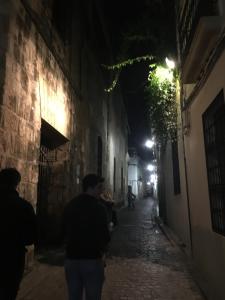 Fotografie z fotogalerie ubytování Patio de la Plateria v destinaci Córdoba