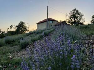 A garden outside Agriturismo Cascina Cornelli