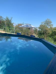 an empty swimming pool with an umbrella at Ca' degli Ovi in Valenza