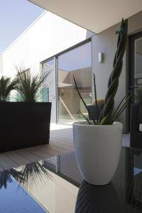 Бассейн в La Loge de mer, Lodge urbain или поблизости