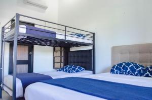 1 dormitorio con 2 literas con sábanas azules y blancas en Pedregal Suites - Marina and Downtown en Cabo San Lucas